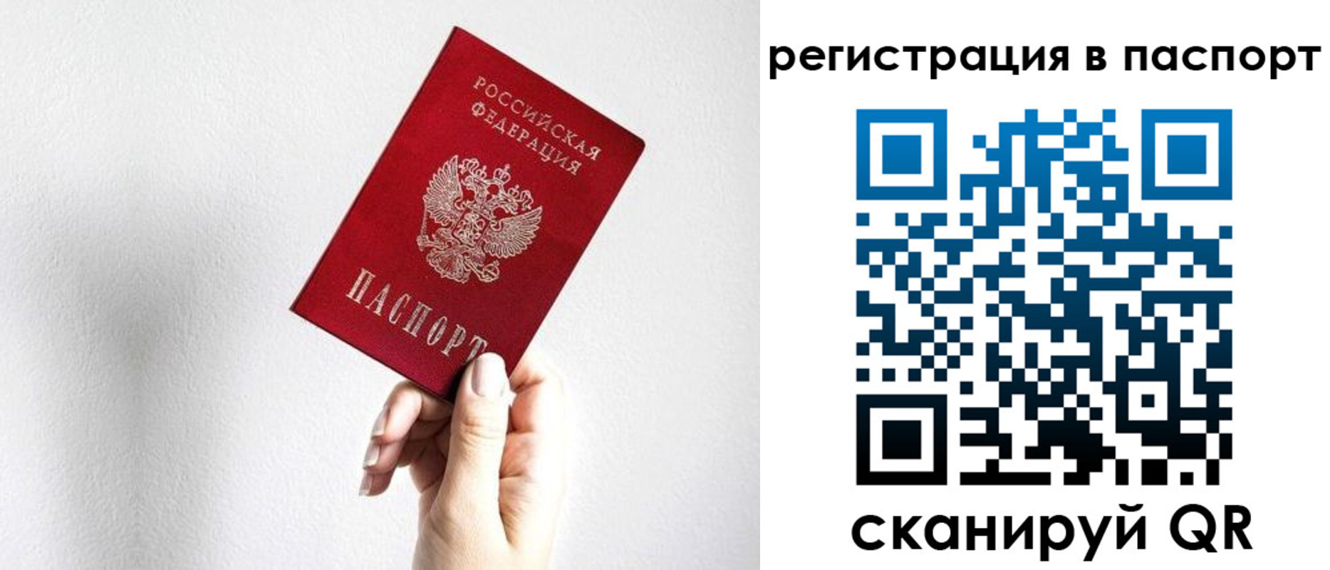 прописка законно в Ярославской области